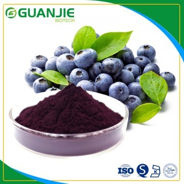 Bilberry Extract