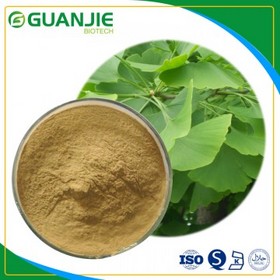 Ginkgo Biloba Extract