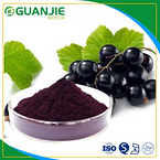 Blackcurrant Extract 