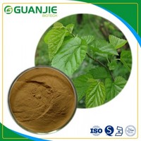 Mulberry Leaf Extract pure nature extract sample free Best Quality