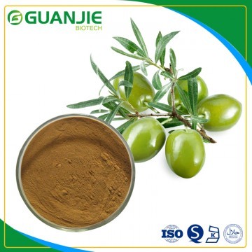 Olive Leaf Extract