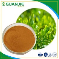 Green Tea Extract