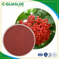Elderberry Extract Anthocyanidins