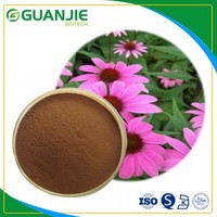 Echinacea Extract