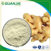 Ginger Extract