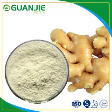 Ginger Extract