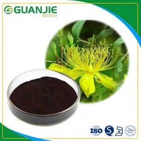 Hypericum perforatum Extract