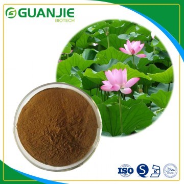 Lotus Leaf Extract