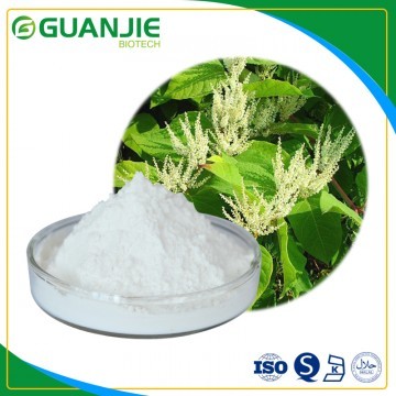 Polygonum cuspidatum Root Extract