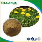 Dandelion Root Extract