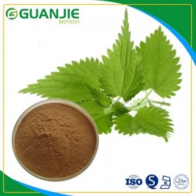 Nettle Extract silica