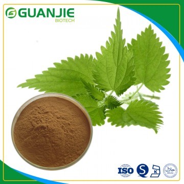 Nettle Extract silica