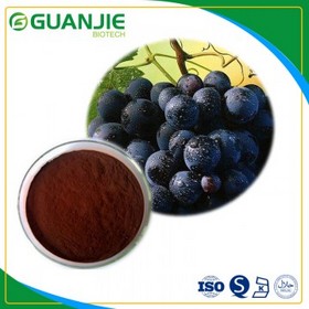 Red Wine Extract