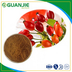 Rose Hip Extract