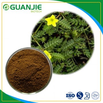 Tribulus terrestris Extract