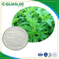 Stevia Leaf Extract 