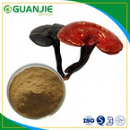 Ganoderma Mushroom Extract  Polysaccharides