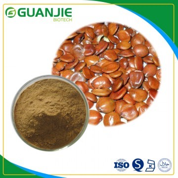 Ziziphi Seed Extract 