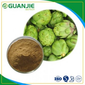 Artichoke Extract