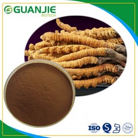 Cordyceps sinensis Extract 