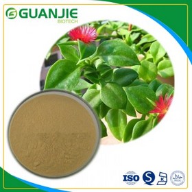 Andrographis paniculata extract