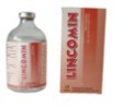 5%,30% Lincomycin Injection