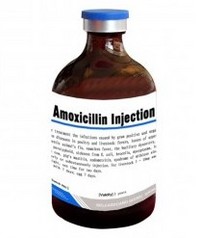 Amoxicillin Injection 10%