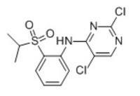 2,5-Dichloro-n-(2-((1-methylethyl)sulfonyl)phenyl)-4-pyrimidinamine