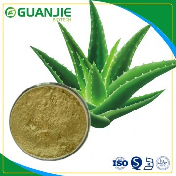 Aloe extract /nature Aloe?Vera extract?powder/Aloin with competitive price