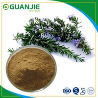 Rosemary Leaf  Extract powder/rosmarinic acid/Ursolic Acid high quality with good price