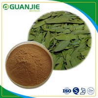 Senna extract/ Cassia angustifolia extract / high quality Sennosides with competitive in bulk