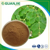 Moringa ratio extract and straight powder for lost weight  free sample 