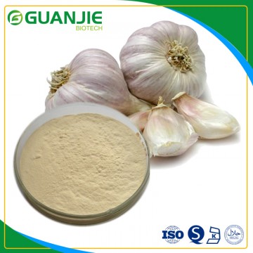 Garlic extract  nature Allicin Garlic extract oil /powder in stock and free sample