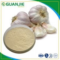 Garlic extract  nature Allicin Garlic extract oil /powder in stock and free sample