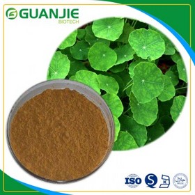 Centella asiatica extract /Hydrocotyle asiatica extract/Asiaticoside top quality in bulk 