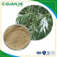 White willow bark P.E /pure nature Salicin good quality and competitive price