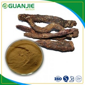 Cistanche extract/ top quality Desertliving Cistanche Herb Extract  with with competitive price