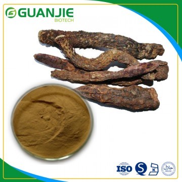 Cistanche extract/ top quality Desertliving Cistanche Herb Extract? with with competitive price