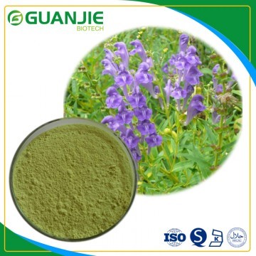 Scutellaria baicalensis extract/ Baicalin top quality in bulk sample free