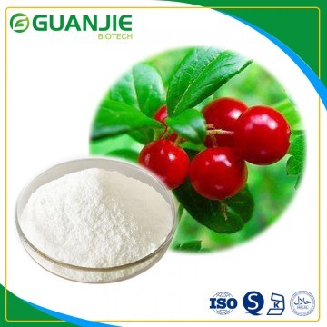 Arbutinfor Bearberry extract powder for skin care and whitening 