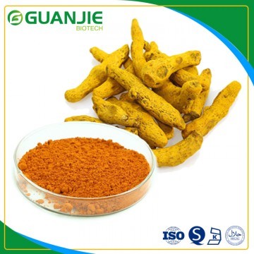 Curcumin / Curcumalonga Extract/ High-Purity nature turmeric yellow in stock