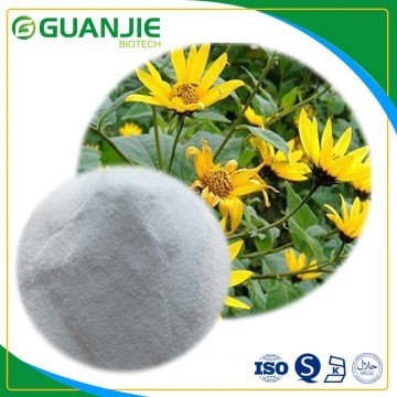 Inulin /Nature Synanthrin  Good service and top quality in bulk sample free