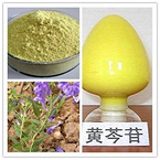 scutellaria extract