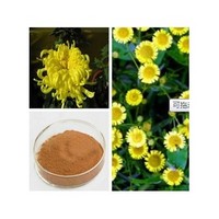 Wild chrysanthemum extract