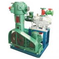 ZJWLW roots oil-free vertical vacuum pump