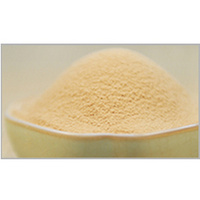 Zinc Enriched Yeast