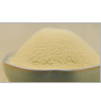 Nutritional Yeast Powder