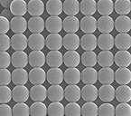 Particle Size Standards