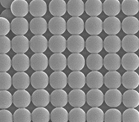 Particle Size Standards