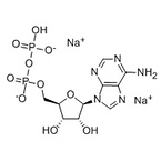 Adenosine 5'-diphosphate disodium salt